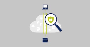 央行发行2025版第五套人民币中为何没有100元和5元?